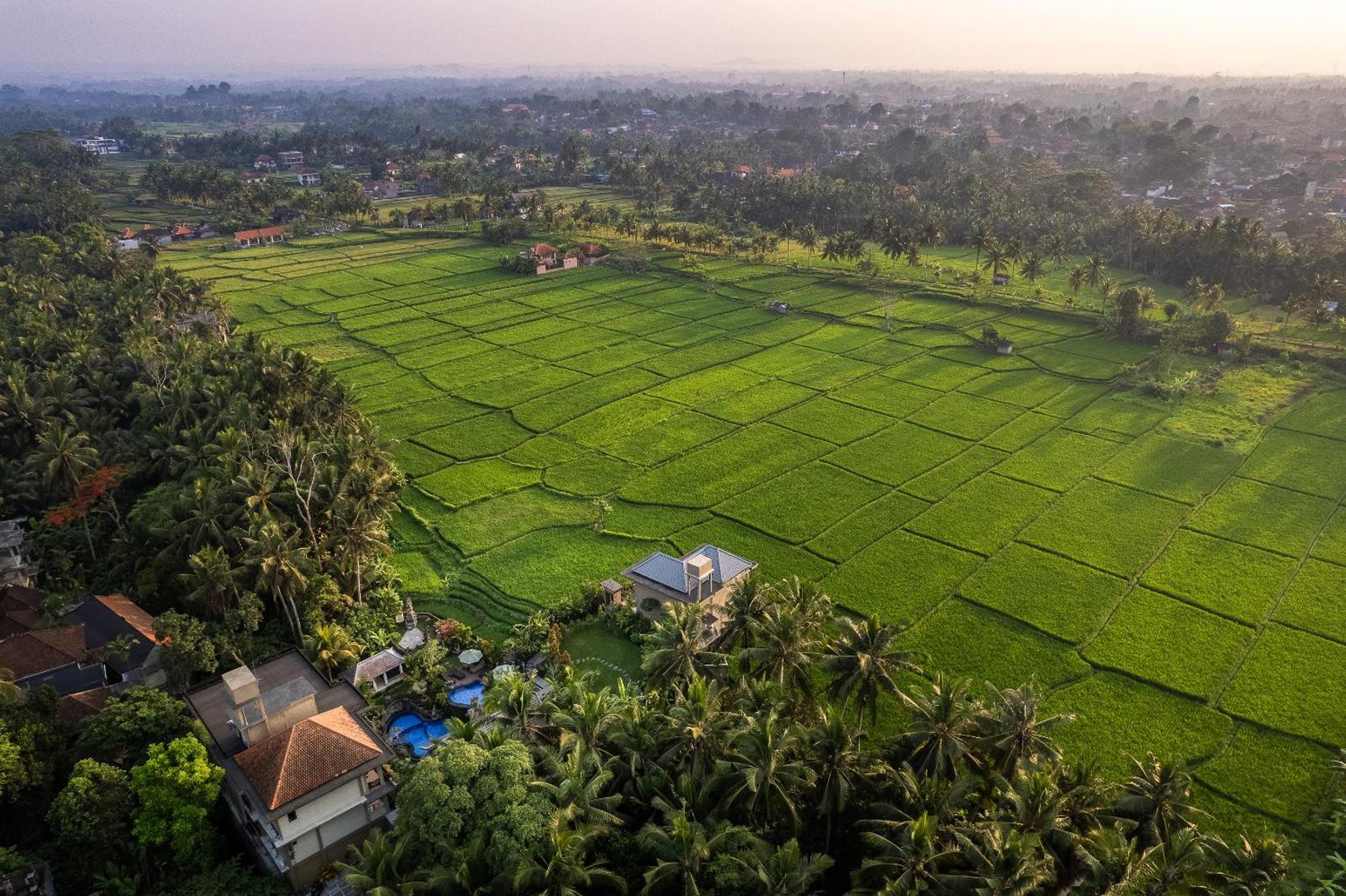 Gynandha Ubud Cottage 外观 照片