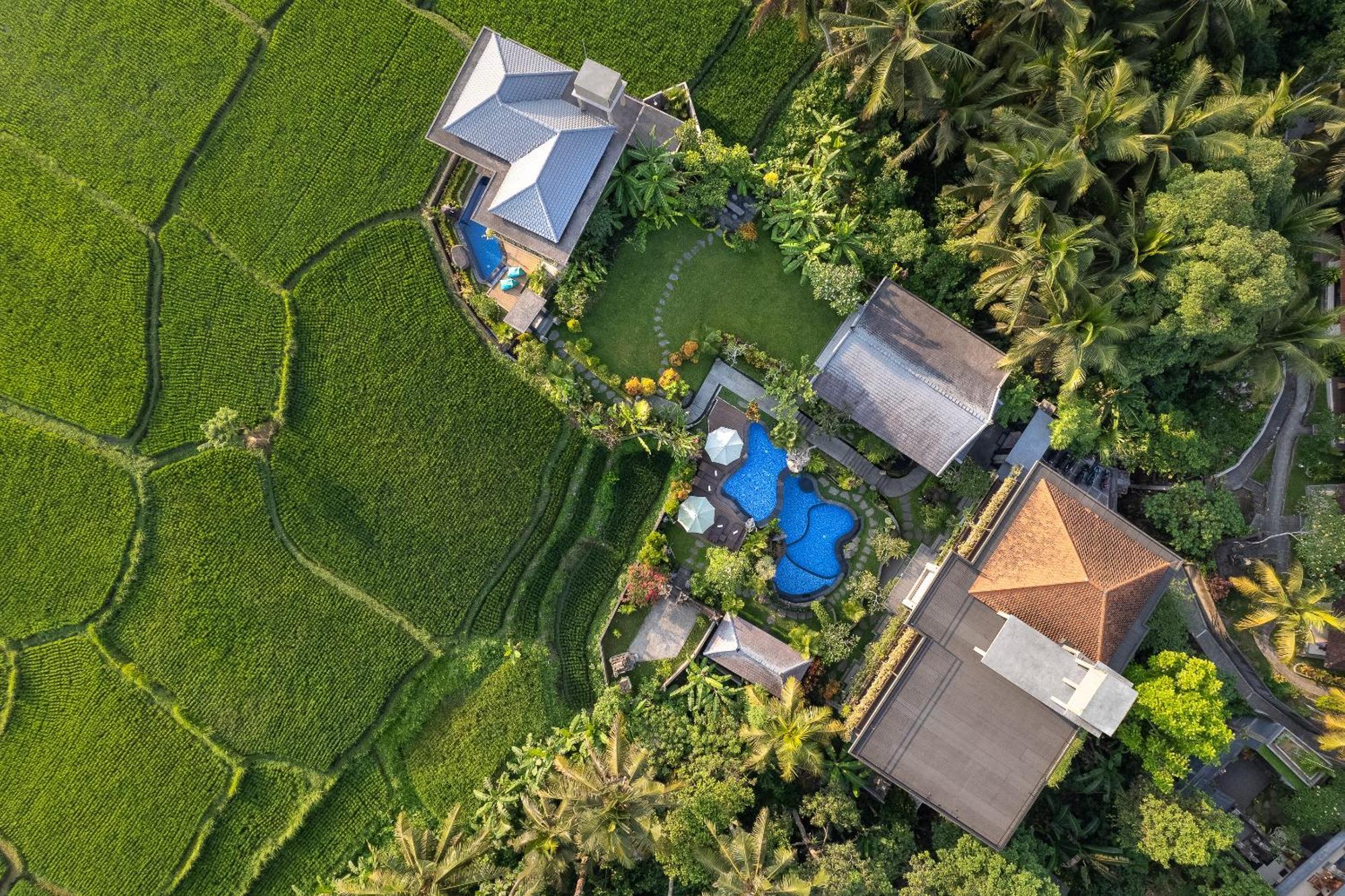 Gynandha Ubud Cottage 外观 照片